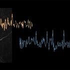 Bruker Introduces Innovative Neuroscience Research Solution with High-Speed OptoVolt Voltage Imaging