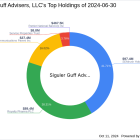 Siguler Guff Advisers, LLC Adjusts Stake in Patriot National Bancorp Inc