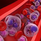 EHA 2025: Regeneron’s Lynozyfic with Amgen’s Kyprolis combo emerges for R/R MM