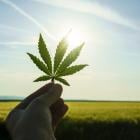 Why Tilray Stock Is Soaring Higher Today