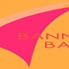 BANR Q1 Deep Dive: Resilient Core Growth Amid Economic and Tariff Pressures