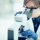 10 Best Performing Biotech ETFs in 2024