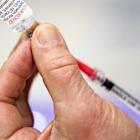 Novavax Stock Is Up Again. There Are Still Big Questions About the Fate of Its Covid Shot.