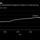 Chickens Hatch Across the Saudi Desert in Kingdom’s Pivot From Oil