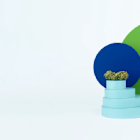 IM Cannabis Corp (IMCC) Q1 2025 Earnings Call Highlights: A Turnaround to Profitability Amid ...