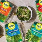 BrightFarms Partners With Instacart To Stave Off Resolution Quitters Via Free Salad Kits