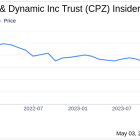 Insider Buying: VP and CFO Thomas Herman Acquires Shares of Calamos L/S Equity & Dynamic ...