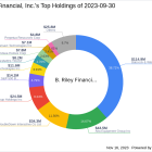 B. Riley Financial, Inc. Bolsters Position in Babcock & Wilcox Enterprises Inc