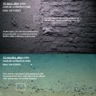 TMC Subsidiary NORI Shares Preliminary Findings on Environmental Impacts of Pilot Nodule Collection System Test