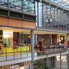 Kohl's (NYSE:KSS) Sees 13% Weekly Price Drop Following Revenue Decline Announcement