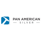 Pan American Silver Corp (PAAS) Q4 2024 Earnings Call Highlights: Record Revenue and Strong ...