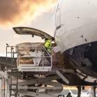 Callan JMB Insiders May Regret Not Buying More, Market Cap Hits US$23m