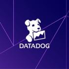 Datadog Welcomes David Galloreese as New Chief People Officer