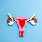 FDA clears FemChec for fallopian tube occlusion testing