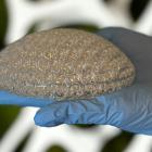 3D Printed Breast Implants Could Be the Future of Plastic Surgery