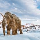 Woolly Mammoth, Dodo Get Another Shot as Startup Raises $200 Million