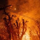 Insurance Firms Ask Edison to Preserve Evidence for LA Wildfire