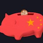 Obscure Chinese Stock Scams Dupe American Investors by the Thousands