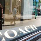 Why This Luxury Stock Looks Like a Winner