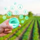 4 Agriculture - Products Stocks to Watch in a Promising Industry