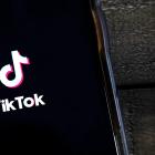 Big Tech Players Emerge as Likely Partners for TikTok US