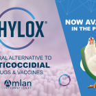 Phylox®, a Natural Solution for Coccidiosis, Now Available in the Philippines