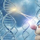 3 Stocks to Buy in the Booming Field of Gene Editing