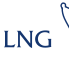 Golar LNG Ltd (GLNG) Q1 2025 Earnings Call Highlights: Strong Cash Flow Visibility and ...