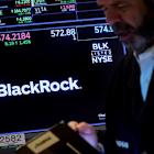 BlackRock can keep big US utility stakes, regulator rules