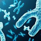 ADMA Biologics vs. Grifols: Which Plasma Therapy Stock Is the Better Buy?
