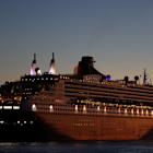 Carnival hikes annual profit target on steady cruise demand