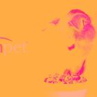 Freshpet (FRPT): Buy, Sell, or Hold Post Q4 Earnings?