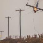 Power Lines Sparked Largest Wildfire in Texas History