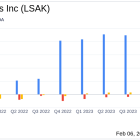 Lesaka Technologies Inc (LSAK) Surpasses Q2 FY24 Guidance with Strong Revenue and Profitability ...