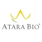 Atara Biotherapeutics Announces Fourth Quarter and Full Year 2024 Financial Results and Operational Progress