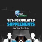 Elanco Launches Pet Protect™ From the Makers of Advantage®: Veterinarian-Formulated Supplements for Complete Pet Wellness