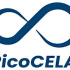 PicoCELA Inc. Issues  Restricted Common Shares to Nikken Lease Kogyo Co. Ltd.