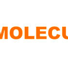 Moleculin Reports First Quarter 2025 Financial Results and Provides Corporate Update