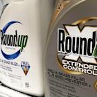 Bayer Seeks New Roundup Settlement While Exploring Monsanto Bankruptcy