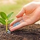 Bunge Global SA (BG) and Glencore-back Viterra Merger Receives Conditional Approval from China