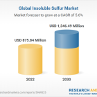 Global Insoluble Sulfur Market Forecast to Reach $1.34 Billion by 2030 - Top 5 Players Oriental Carbon & Chemical, Flexsys, Henan Kailun Chemical, Leader Technologies, LIONS INDUSTRIES Account for ~55% Share