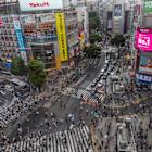 Japan’s longer debt attractive for foreigners, Morgan Stanley says
