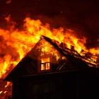 11 Companies Including Nvidia Are Growing Like A House On Fire