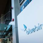 Bluebird’s Plans to Win in Sickle Cell Come Into Focus