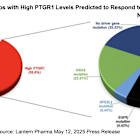 LTRN: First Quarter 2025 Financial Results