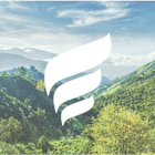 What To Expect From New Fortress Energy Inc (NFE) Q1 2025 Earnings