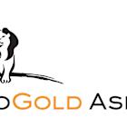 AngloGold Ashanti and Gold Fields Agree to Pause Proposed Ghana JV Discussions