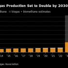 Biogas Traders Become Hot Commodities on Demand for Clean Fuel