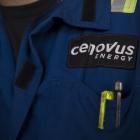 Cenovus Blasts Canadian Government for Lack of Support for Carbon Capture