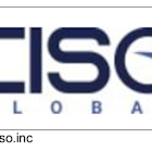 CISO: Leading cybersecurity provider entering new growth phase with high margin, recurring revenue software offerings.